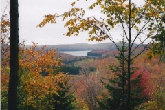 !cid_2_437316991@web110306_mail_gq1_yahoo